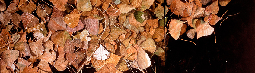 Autumm Leaves (60 x 140 cms.)