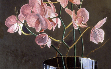 Orchids (60 x 35 cms.)
