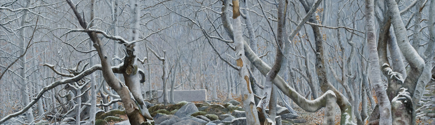 Winter Forrest (30 x 70 cms.)
